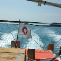 dsc_1617 dsc_1617