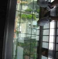 img_1051 img_1051