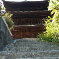 dsc_1923 dsc_1923