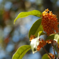 dsc_1953 dsc_1953